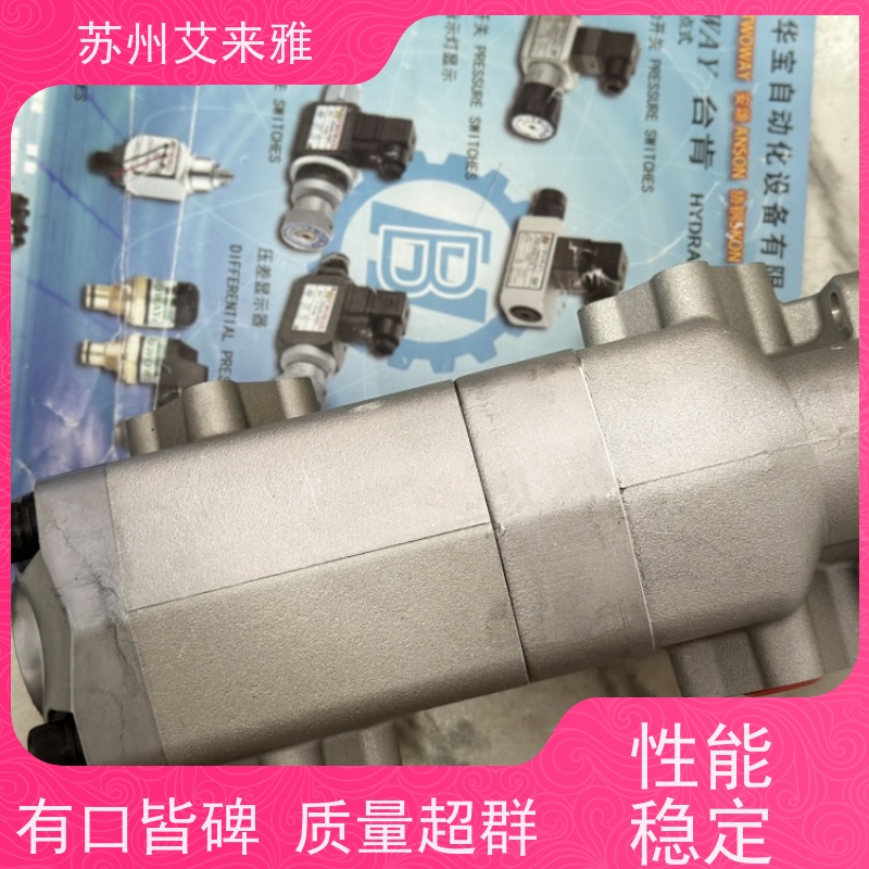 台湾康百世KOMPASS齿轮泵P102RP01GT P109RP01GT液压泵P104RP01GT