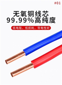 双色绝缘护套软铜接地线BVR-35