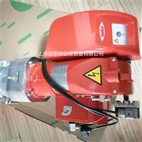 TBG60百得天然气燃烧器