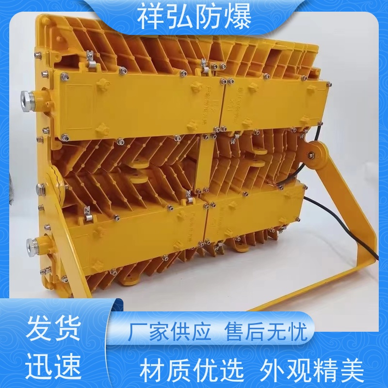  防爆灯具 不锈钢材质 带防雨罩 耐压耐腐蚀  厂家供应 售后无忧