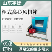 柜式消防风机箱 排烟风柜机 低噪工业风机排风设备 厂家供应