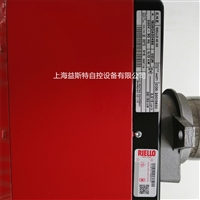 意大利RIELLO利雅路燃烧器40 GS5