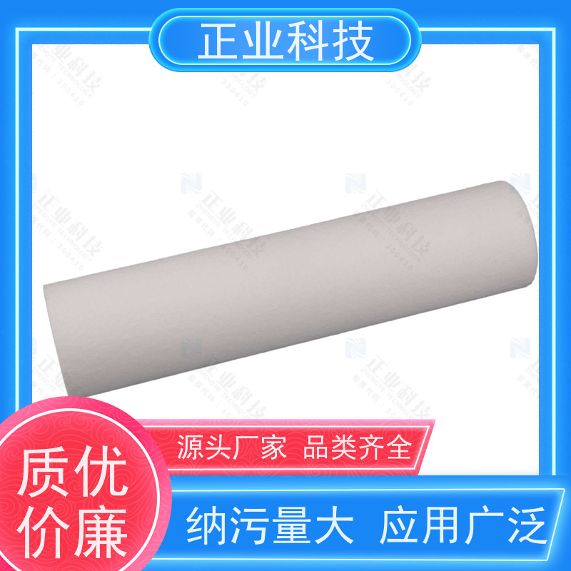 正业科技 除泥沙铁锈 精度高 压差小 纳污量大 10-20寸 pp烧结滤芯