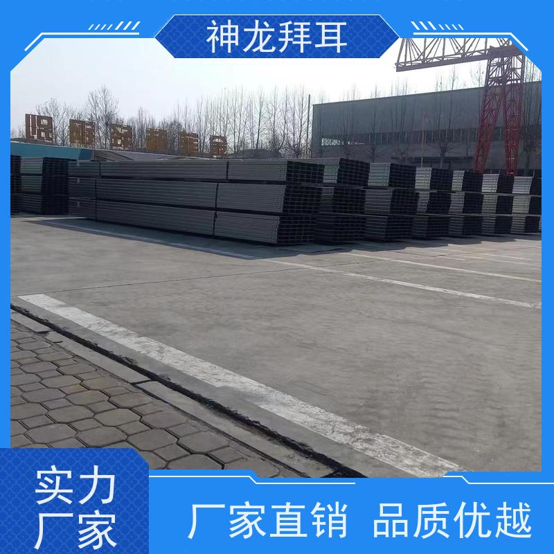 神龙拜耳 光伏工程施工方案 生产厂家 热镀锌