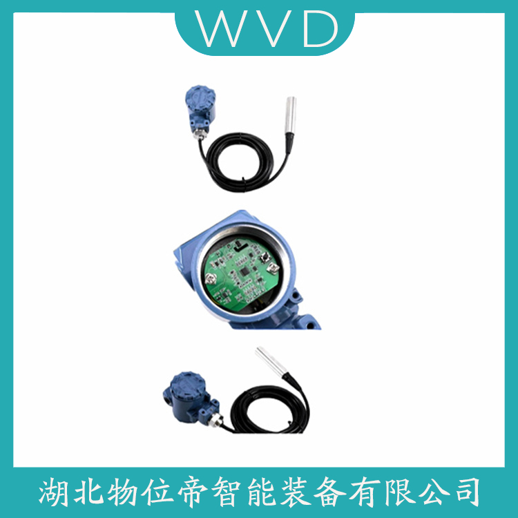 CYW12-L60-B100-RS-B-G-D 投入式静压液位传感器 产品特点