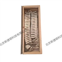 非标定制链库链条 工业炉用传动链 热处理工业备件 