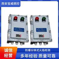 宝威燃控垃圾焚烧炉火焰检测器BWFZJ-13KF