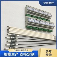电离式紫外线火焰检测器 工业火焰检测设备BWLJ-13K