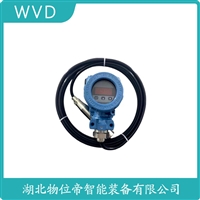 JCJ800I2S1P21V1单法兰液位变送器 WVD