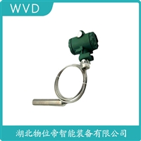 LMP308投入式液位变送器 WVD