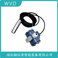 XTX-PL9ACG-T船舶液位变送器 WVD
