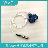 YP5004投入式液位变送器 WVD