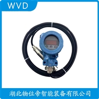 PG1300SY-R投入式液位变送器 WVD