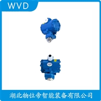 JCJ800I1S3P21V3投入式液位变送器 WVD