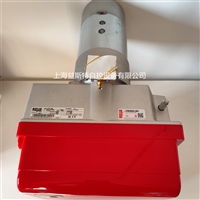 RIELLO利雅路燃气燃烧器RS5