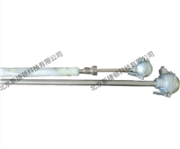 800K东大热电偶 热处理工业炉温度传感器