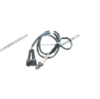 北京氧探头厂商 MESA德国氧探头 厂家直销多用炉工控产品