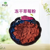 原料冻干草莓粉含籽草莓粉