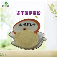 冻干菠萝蜜粉