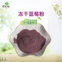 批发冻干蓝莓粉