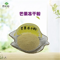 批发冻干芒果粉