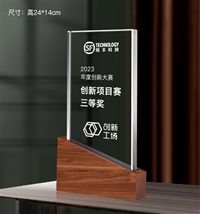 实木水晶奖杯定制 公司年会员工表彰 创意奖牌定做