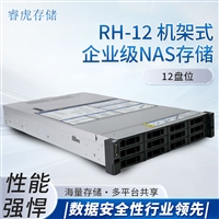睿虎存储 RH-12 机架式12盘位NAS存储