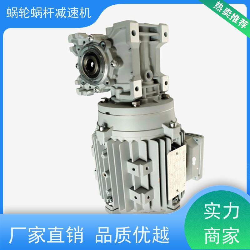 蜗轮减速机 NMRV110 制动刹车电机 提升机 艾思捷