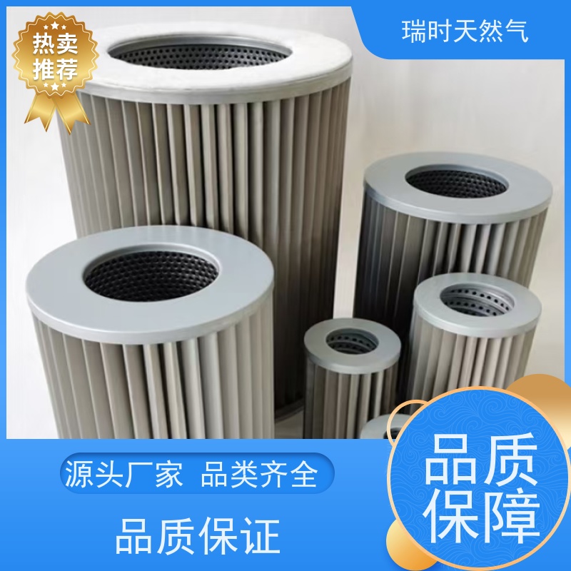 精准控温 瑞时天然气（管道气）烤箱 烘焙级304不锈钢