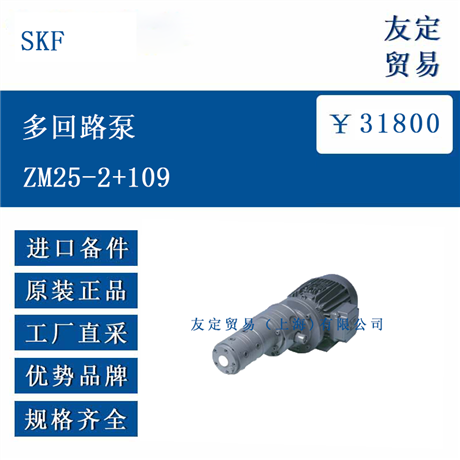 欧洲进口 SKF ZM25-2+109 多回路泵