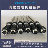 PS531SPP10/BB32N3/S30压力开关，用于汽轮机油系统压力监测，保障设备安全