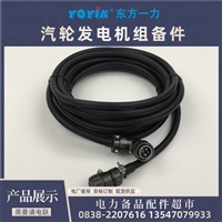 CY-I差压开关，用于汽轮机油系统监测，检测压差变化