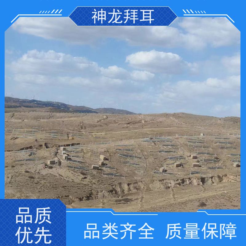 神龙谷 厂家 热镀锌 光伏发电项目建设