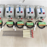 BWFBD-12便携式一体化高能点火器 可加装移动电源 安全点火 稳定