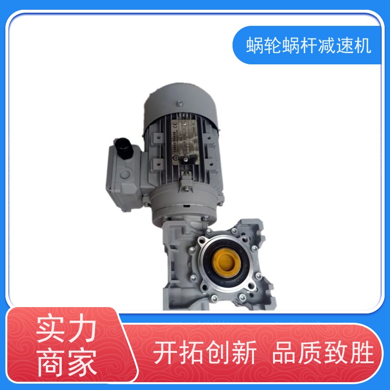 蜗杆蜗轮减速机 SJMRV050-20 三相异步电机 输送机 艾思捷