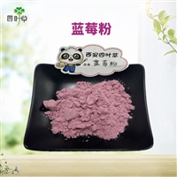 批发蓝莓果粉