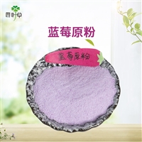 批发蓝莓原粉