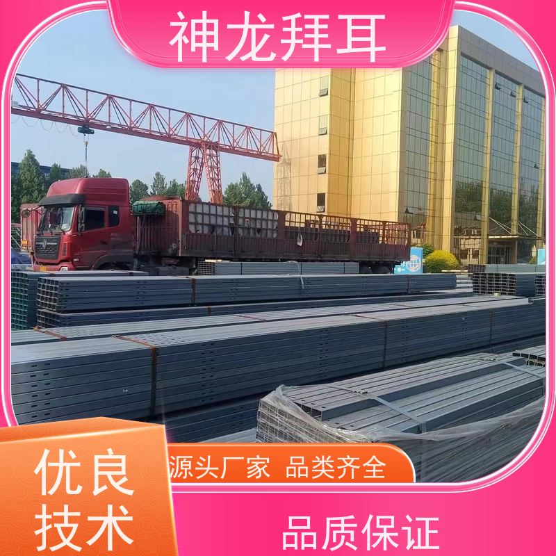 神龙拜耳 光伏支架冲孔机 快速响应 公司