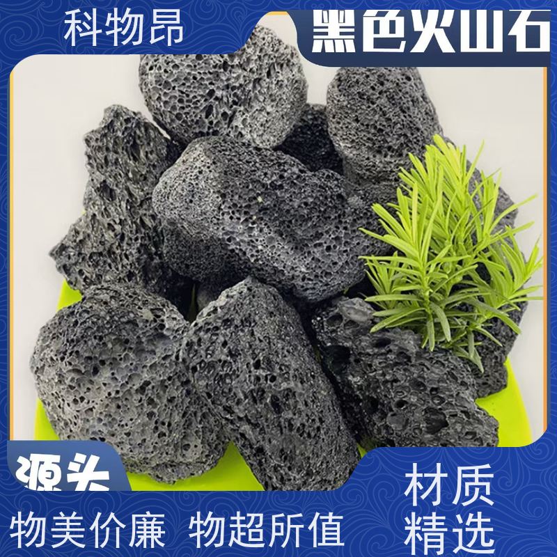 科物昂 花卉 火山岩盆栽造型石 颜色黑、红 接受代发