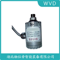 ZHJ-2-N150振动加温度变送器 WVD