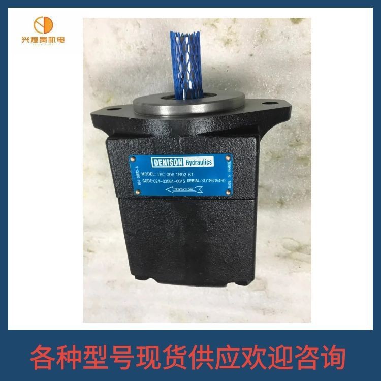 美国丹尼逊DENISON柱塞泵PV20-1R5D-C00 PV20-2R1D-F00