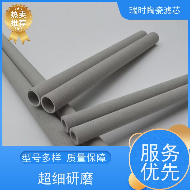 健康守护神 陶瓷烧结滤芯（陶砂滤芯）家用净水器专用 瑞时纳米级孔隙 抑菌更安心