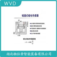 S-HZ压电式速度传感器 WVD