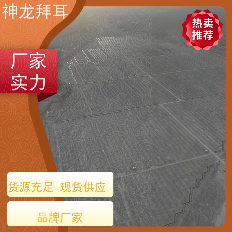 河北神龙拜耳 农业光伏支架 免费升级 供应