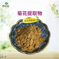批发菊花提取物1:1