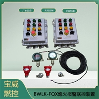 BWLK-FQX熄火保护报警装置 防爆 钢厂 燃气 冷却风管，探头监测线