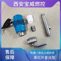 BWZJ-FTA废气焚烧炉 复合型防爆一体化火焰检测装置 火焰传感器