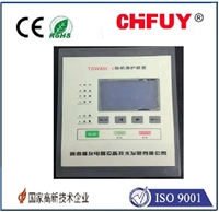 CHFUY-针状铂电阻WZP001热电阻