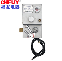 防爆声光报警器警报器蜂鸣器;型号规格TGBBJ-8W