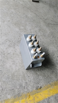 自营RFM2 0.75-1000-2.5S电热电容器